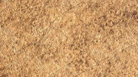 The Stone texture for Background concept 3d rendering. Stock Photos