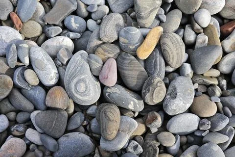 Stone texture for background. Multi-colored sea stones from various rocks and Stock-Fotos
