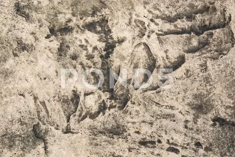 Stone texture background Stock Photos