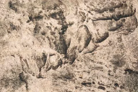 Stone texture background Foto stock