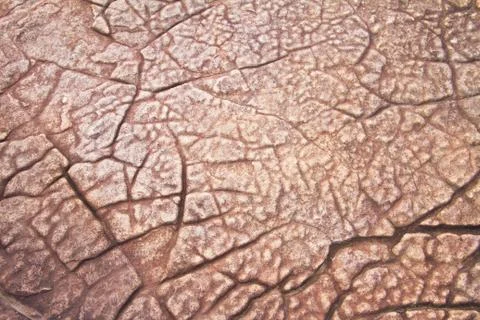 Stone texture background Stock Photos