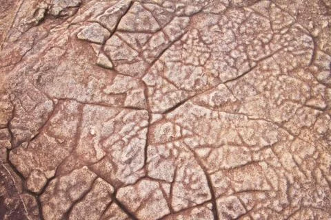 Stone texture background Фото