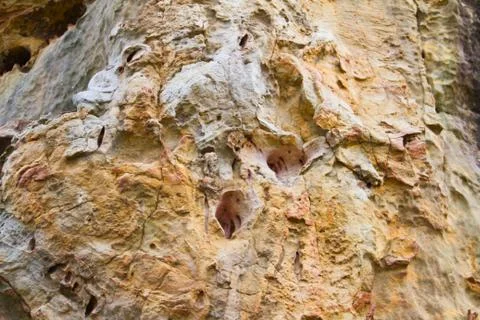 Stone texture background Stock Photos