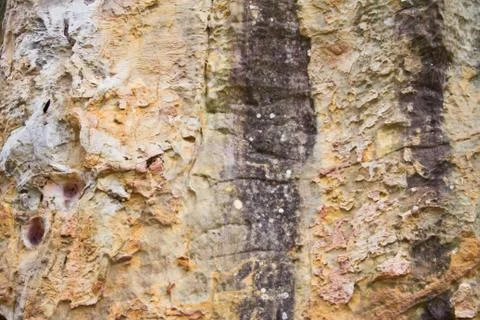 Stone texture background Stock Photos