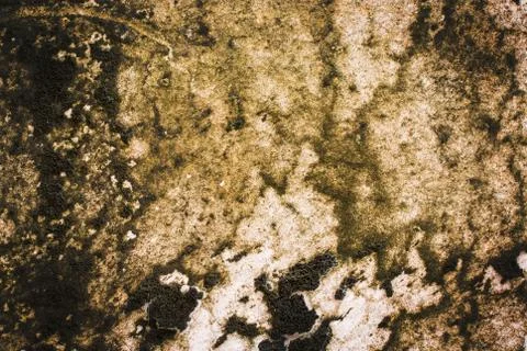 Stone texture background Stock Photos