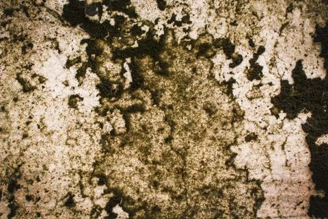 Stone texture background Stock Photos