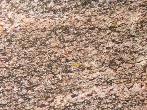 Stone texture background Stock Photos