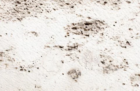 Stone texture background Stock Photos