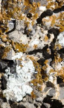 Stone texture background. Stock Photos