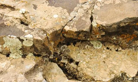 Stone texture background. Foto stock