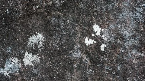 Stone texture for a background. Stock Photos