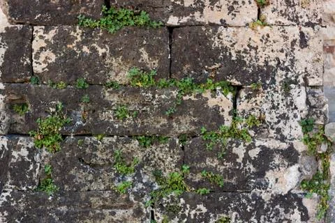 Stone Texture Background. Stone Wall Background. Stock Photos