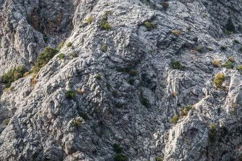 Stone texture close-up. Gray rock with cracks and with a rare green moss on i Stock Photos