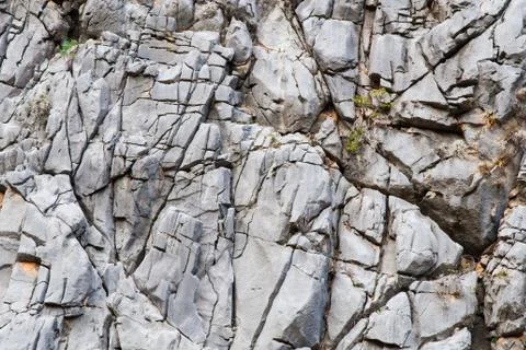 Stone texture close-up. Gray rock with cracks and with a rare green moss on i Stock Photos
