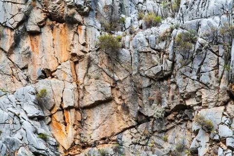 Stone texture close-up. Gray rock with cracks and with a rare green moss on i Stock Photos