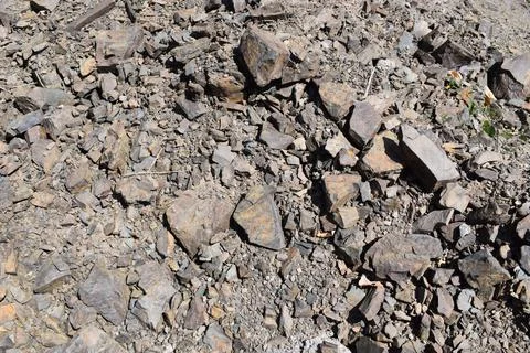 Stone  texture design Stock Photos