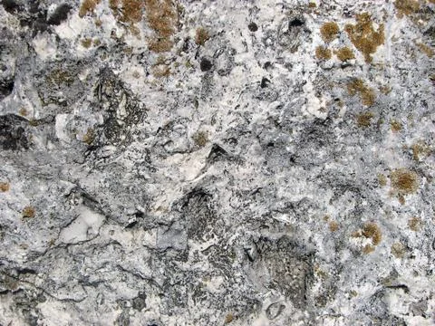 Stone texture. Detailed surface of the old light stone with red lichens. Stock Photos