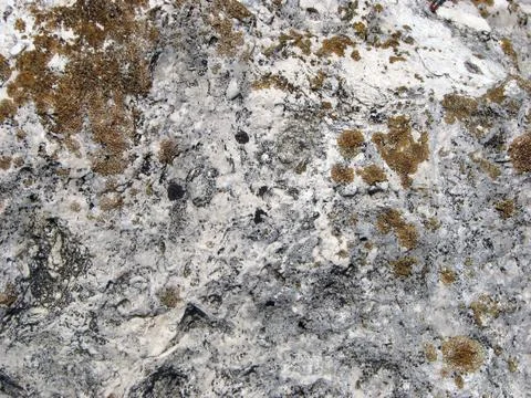 Stone texture. Detailed surface of the old light stone with red lichens. Stock Photos