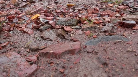 Stone texture exposed to raindrops 스톡 동영상 160084295