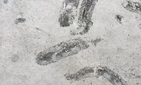 Stone texture with fossils Stock Photos