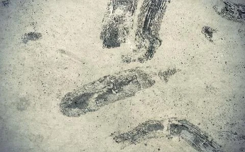 Stone texture with fossils Stock Photos