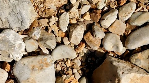 Stone texture in the garden Stock Footage 77868366
