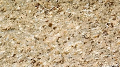 Stone texture in the garden Stock Footage 96183495