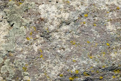 Stone texture of granite background with moss. Stock Photos