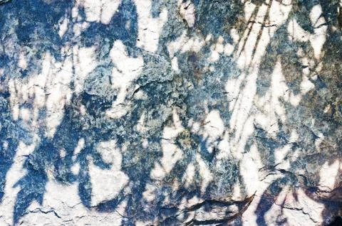 Stone texture with moss Stock Photos