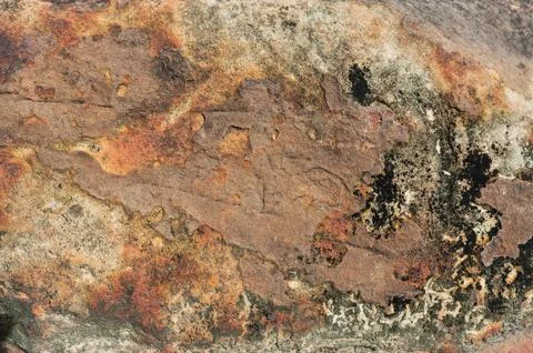 Stone texture with moss Stock Photos