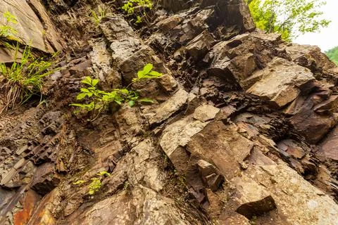 Stone texture - the nature of the structure of a solid substance and the Stock Photos