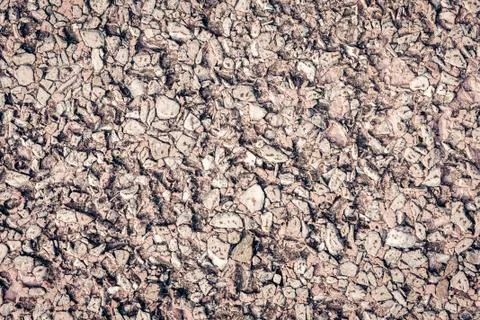 Stone texture of an old sidewalk made of small pieces of granite. Stock Photos