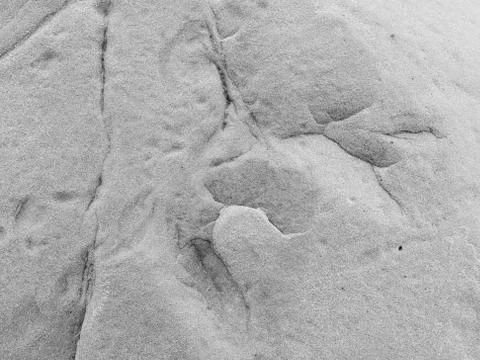 Stone texture or background Stone texture or background Stock Photos
