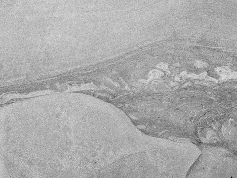 Stone texture or background Stone texture or background Stock Photos