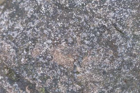 Stone texture or stone background for interior exterior decoration design. Foto stock