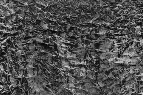 Stone texture Foto stock