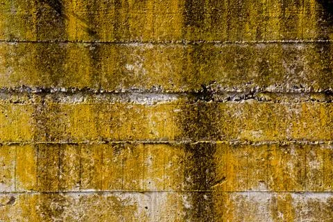 Stone texture Stock Photos