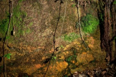 Stone texture Stock Photos