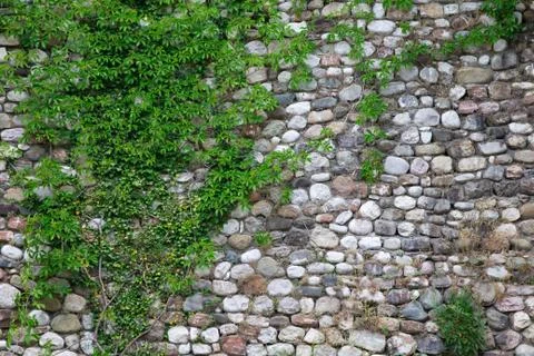 Stone texture Foto stock