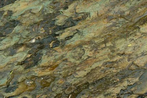 Stone Texture Stock Photos