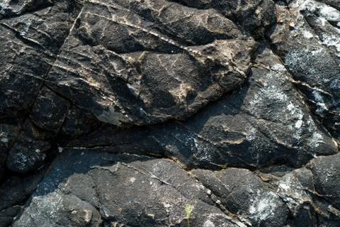 Stone Texture Stock Photos