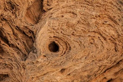 Stone texture Photos