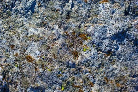 Stone texture Stock Photos