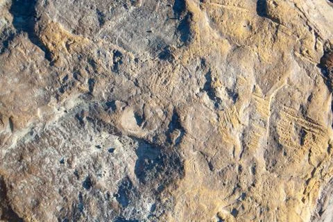 Stone texture Stock Photos