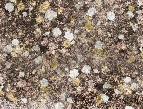 Stone texture Stock Photos