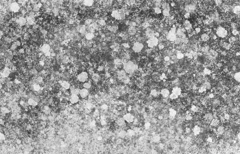 Stone texture Stock Photos