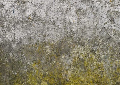 Stone texture Foto stock
