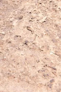 Stone texture Foto stock