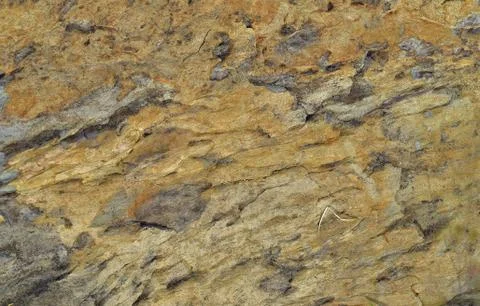 Stone texture Foto stock