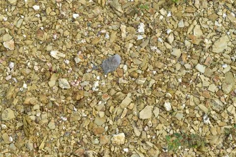 Stone texture Foto stock